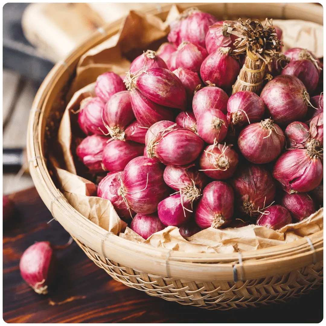 Small-Onion